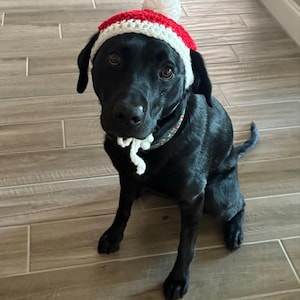 Dianne added a photo of their purchase