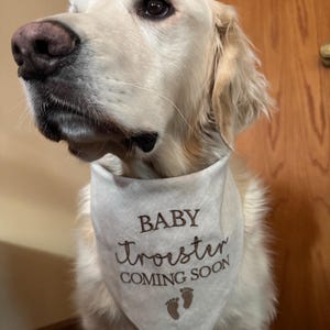 CBRadPrints added a photo of their purchase