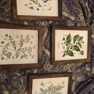 Michelle added a photo of their purchase