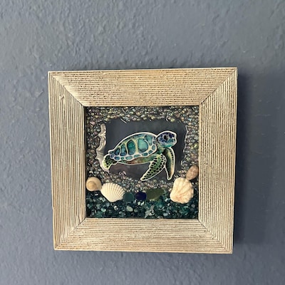 Turtleboxes Display Hatching Sea Turtle Displays - Etsy