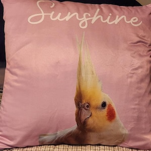 Danielle a ajouté une photo de son achat