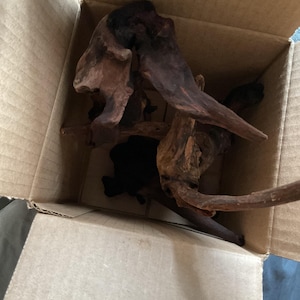 Jamil added a photo of their purchase