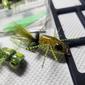 kenneth added a photo of their purchase