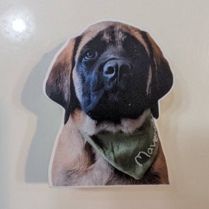 Courtney added a photo of their purchase