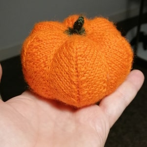 Cute Little Pumpkin Patch Pattern - Etsy