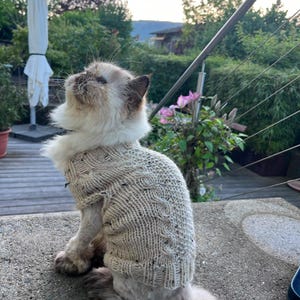 Jodie heeft een foto van de aankoop toegevoegd