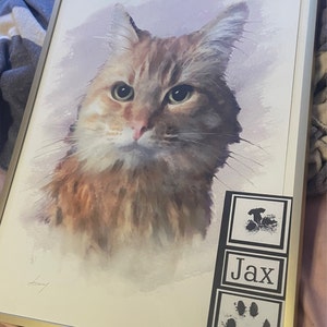 Mocha heeft een foto van de aankoop toegevoegd