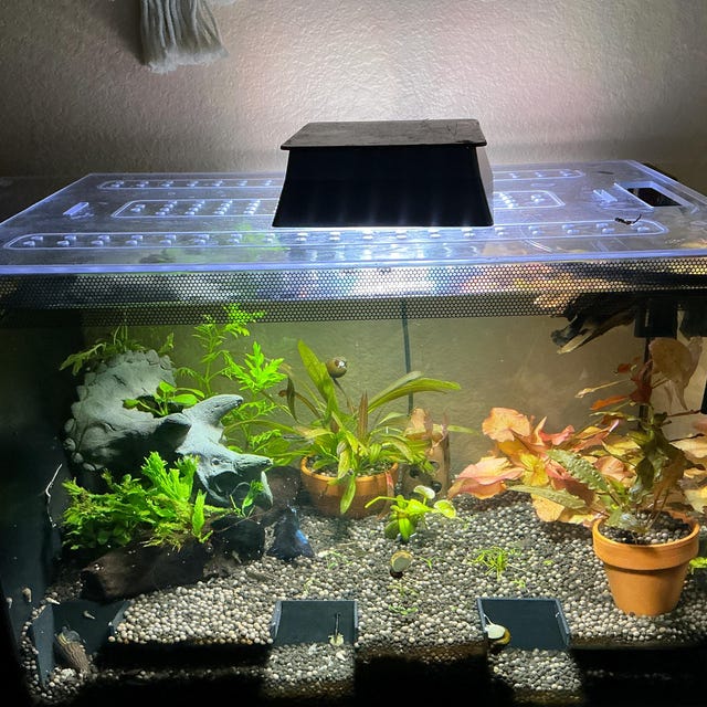 Fluval Plant 3.0 Nano Light Shade: Glare Reduction Coverfree SHIPPING! -  Etsy