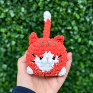 Caro added a photo of their purchase