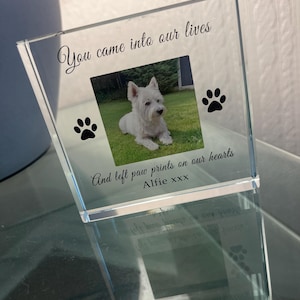 Lisa added a photo of their purchase