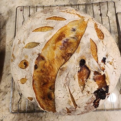 San Francisco Tangy Sourdough Starter – Over 150 Years Old – 1/2 Oz