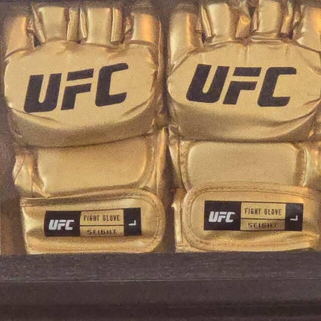 UFC MMA Gold Champion Gloves Replica- Ships From USA - Etsy