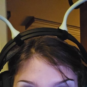 Tawny ha aggiunto una foto del proprio acquisto