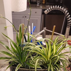 Hope added a photo of their purchase