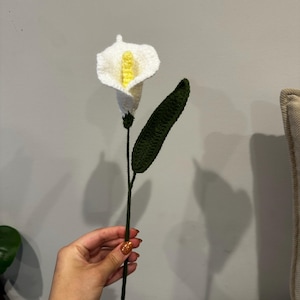 Jillian added a photo of their purchase