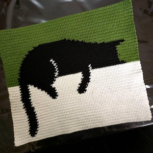july added a photo of their purchase