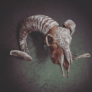 Jillian added a photo of their purchase