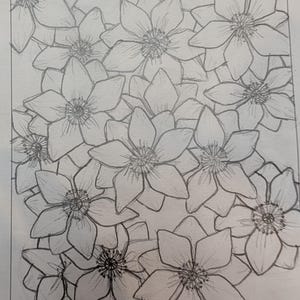 Holly heeft een foto van de aankoop toegevoegd