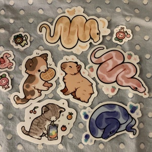 Noelle added a photo of their purchase
