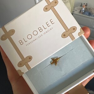 Customer photo, Airplane Lapel Pin