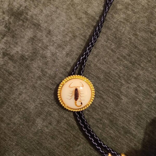 vintage 70s mother of pearl cowboy bolo tie