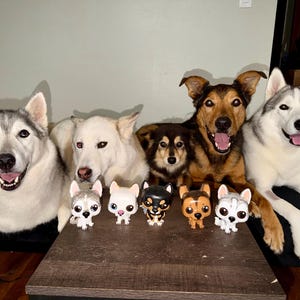 Allie added a photo of their purchase