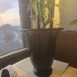 Maribel added a photo of their purchase