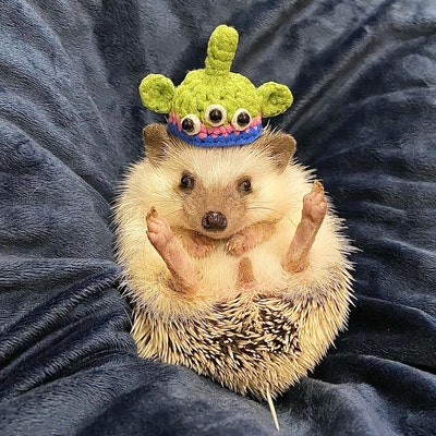 Handmade Pet Hat Alien Costume Etsy Handmade Pet Hat Alien Costume Etsy