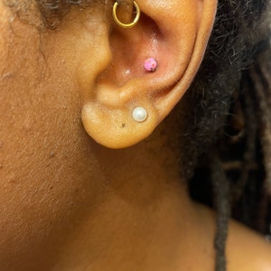 L. added a photo of their purchase
