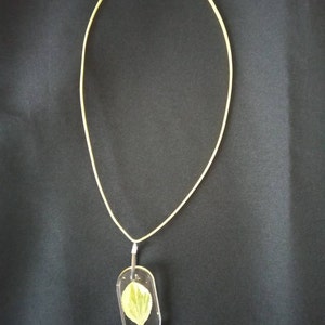 Sylvie ha aggiunto una foto del proprio acquisto