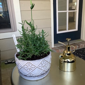 Amy added a photo of their purchase