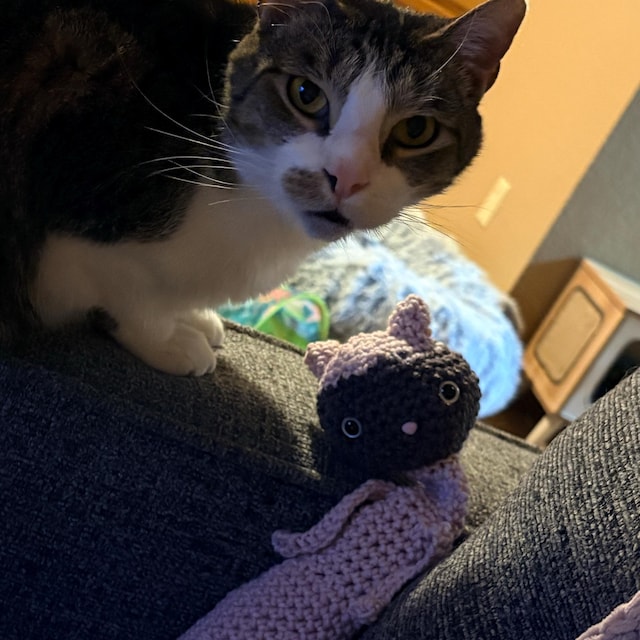 DIGITAL DOWNLOAD Floppy Cat Toy Crochet Pattern - Etsy