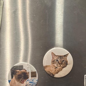 Feiyu added a photo of their purchase