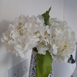 Julie さんが購入した商品の写真を追加しました