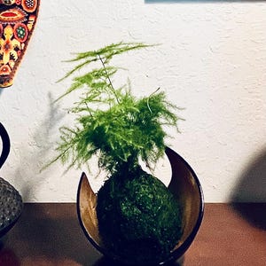 Reese ha aggiunto una foto del proprio acquisto