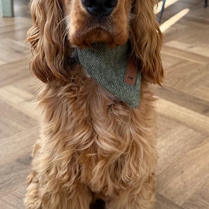 Monkimau Hunde-Halsband Hundehalstuch - Halstuch Für Hunde Aus Baumwolle Baumwolle S046i0ot