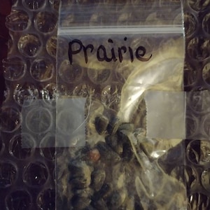 Angela ha añadido una foto de su compra