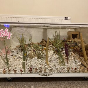 Emily added a photo of their purchase