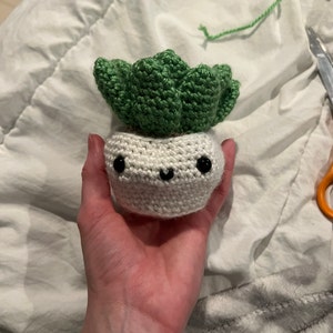 Jennifer added a photo of their purchase