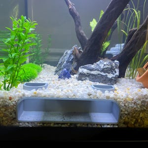Maggie added a photo of their purchase