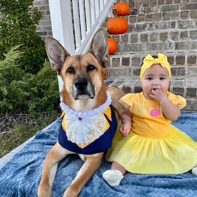 BIG DOG - Doggy Party Dress Lilac