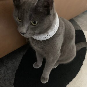 Sarah added a photo of their purchase