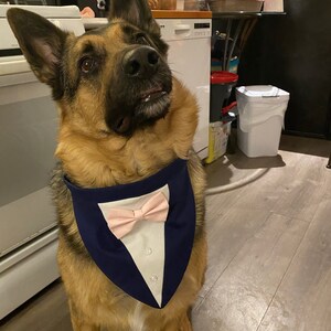 seersucker dog bow tie
