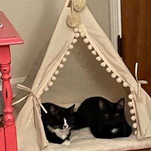 Samantha added a photo of their purchase