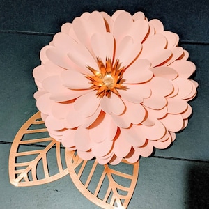 Teri added a photo of their purchase