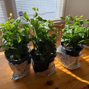 Joseph added a photo of their purchase