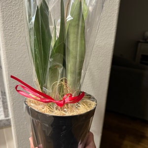 Janice added a photo of their purchase