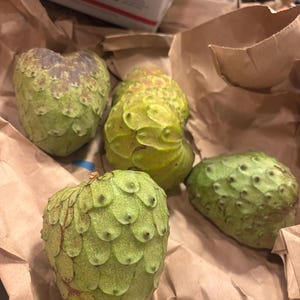 Comprador de Etsy ha añadido una foto de su compra