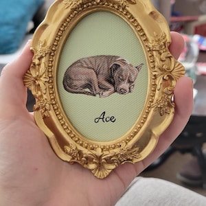 Evyn added a photo of their purchase