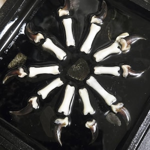 Shelley added a photo of their purchase